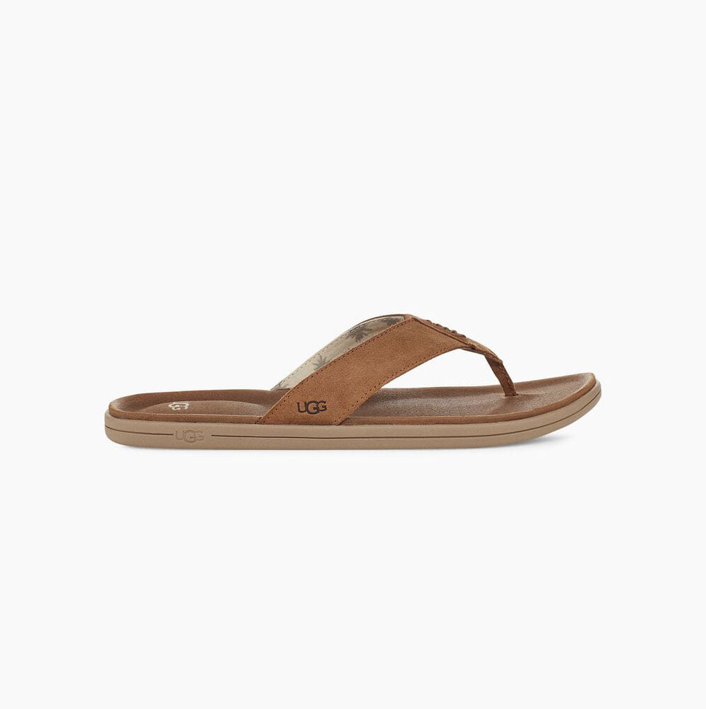 UGG Brookside Brown Flip Flops for Men (FRQJ23475)